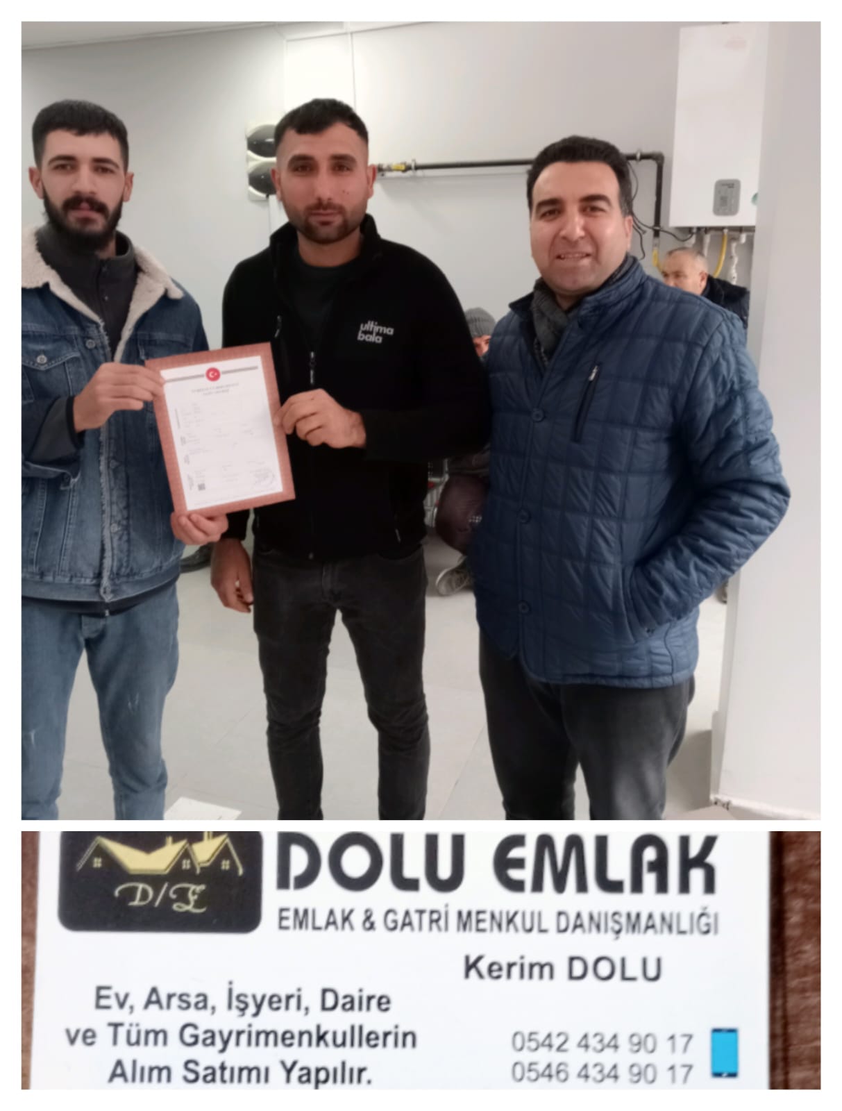DOLU SİGORTA VE EMLAK HİZMETLERİ